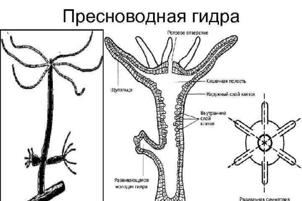 Цена грамма бошек