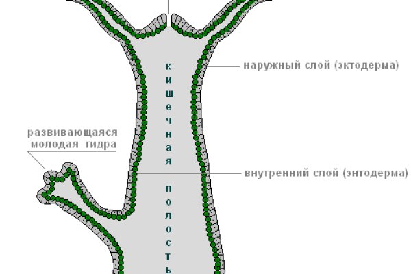 Первая покупка на меге через биткоины