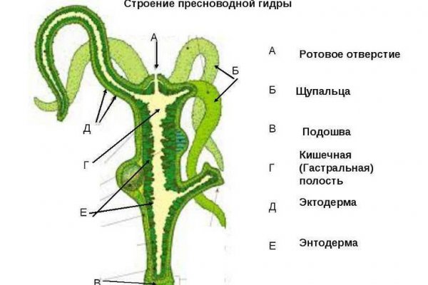 Экстази гашиш кокаин героин купить онлайн