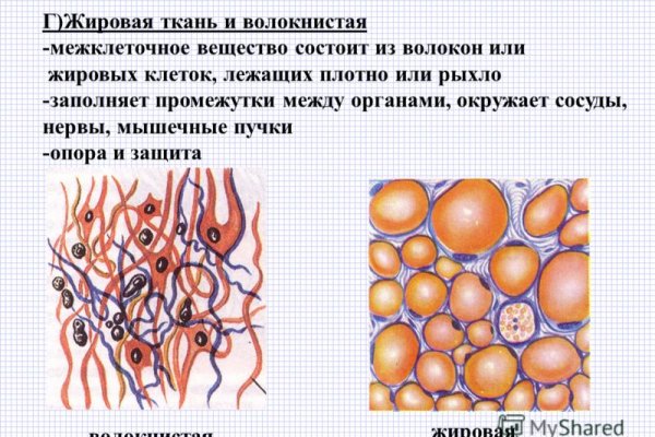 Кракен сайт онион kramp.cc